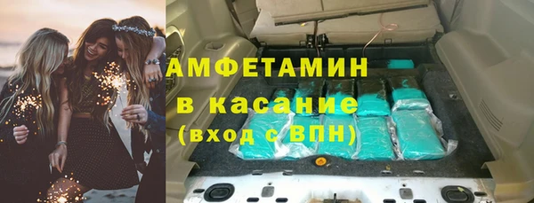сатива Козловка