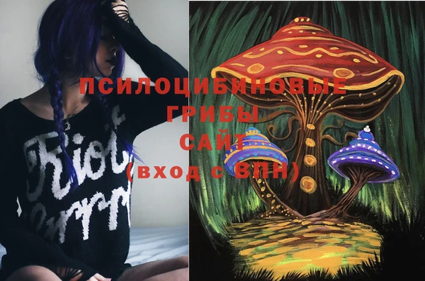 apvp Алексеевка