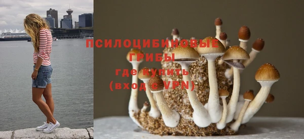прущие крисы Алексин