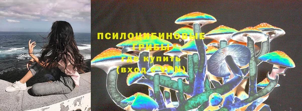 трава Алзамай