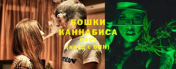 прущие крисы Алексин