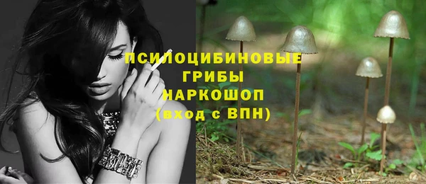 трава Алзамай